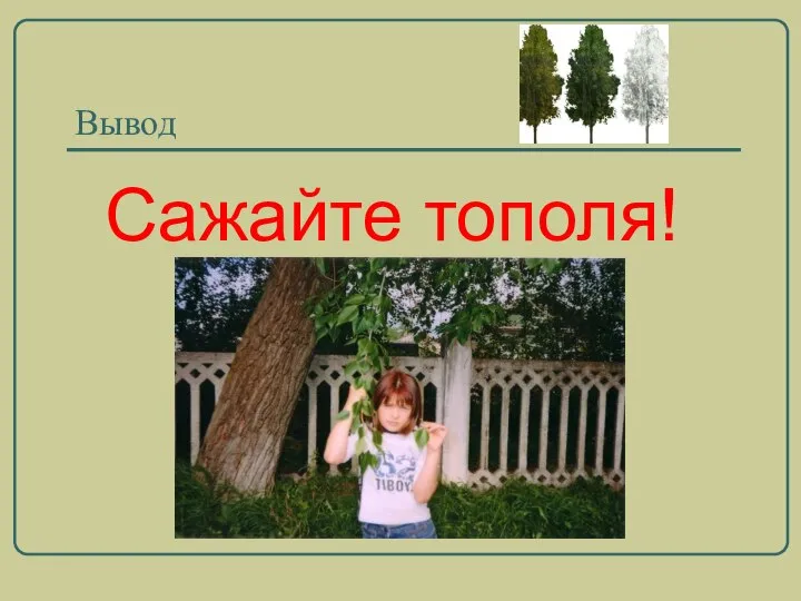 Вывод Сажайте тополя!