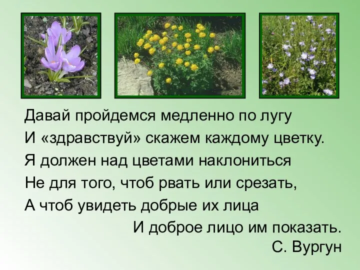 Давай пройдемся медленно по лугу И «здравствуй» скажем каждому цветку. Я