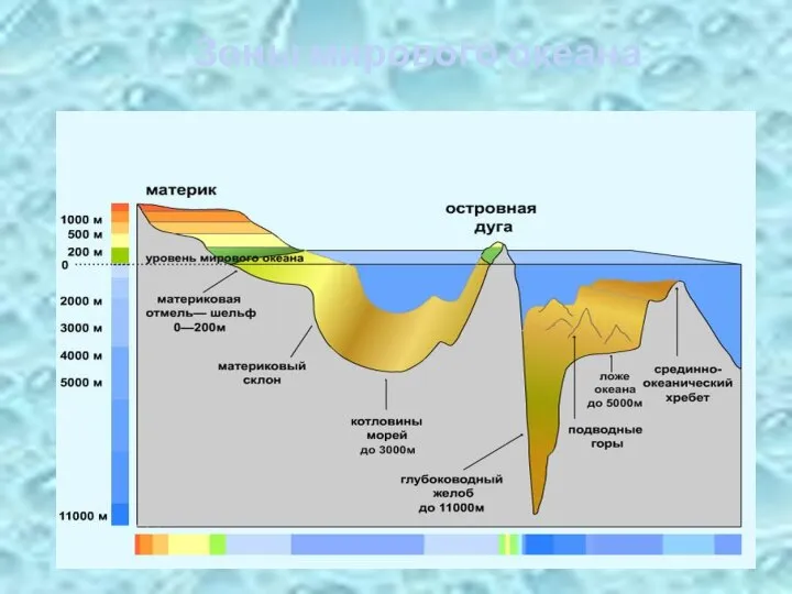 Зоны мирового океана