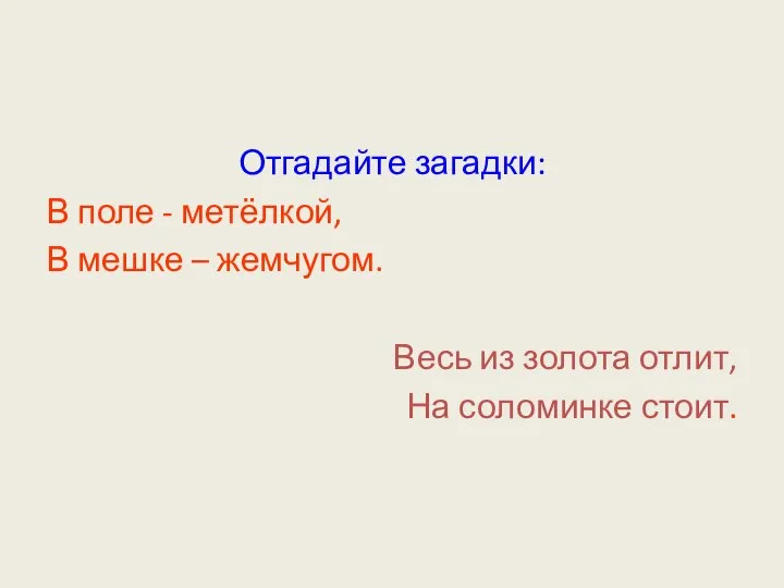 Отгадайте загадки: В поле - метёлкой, В мешке – жемчугом. Весь