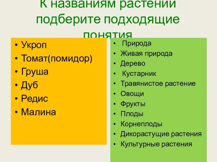 К названиям растений подберите подходящие понятия Укроп Томат(помидор) Груша Дуб Редис