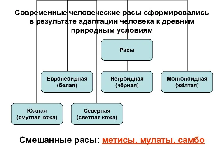 Современные человеческие расы сформировались в результате адаптации человека к древним природным