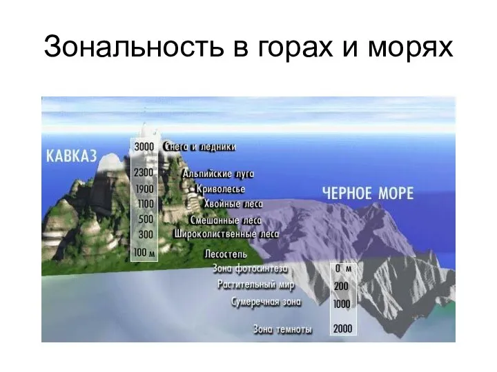 Зональность в горах и морях