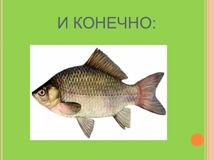 И КОНЕЧНО: