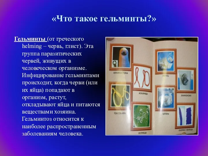 «Что такое гельминты?» Гельминты (от греческого helming – червь, глист). Эта