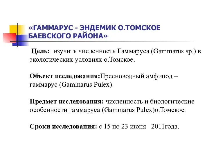 «ГАММАРУС - ЭНДЕМИК О.ТОМСКОЕ БАЕВСКОГО РАЙОНА» Цель: изучить численность Гаммаруса (Gammarus