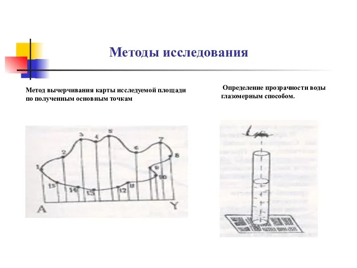 Методы исследования Метод вычерчивания карты исследуемой площади по полученным основным точкам Определение прозрачности воды глазомерным способом.