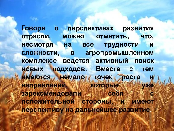 Говоря о перспективах развития отрасли, можно отметить, что, несмотря на все