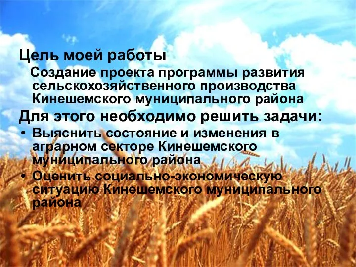 Цель моей работы Создание проекта программы развития сельскохозяйственного производства Кинешемского муниципального