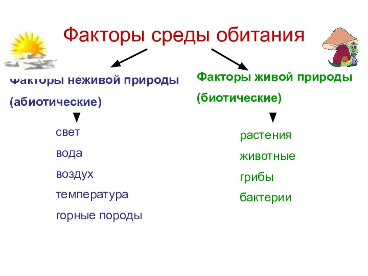 Факторы среды обитания Факторы неживой природы (абиотические) Факторы живой природы (биотические)