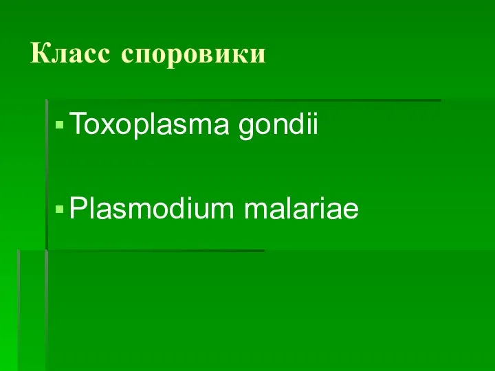 Класс споровики Toxoplasma gondii Plasmodium malariae