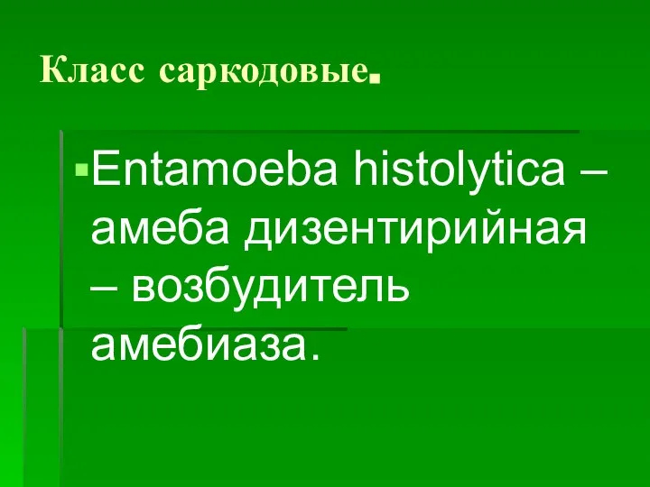 Класс саркодовые. Entamoeba histolytica – амеба дизентирийная – возбудитель амебиаза.