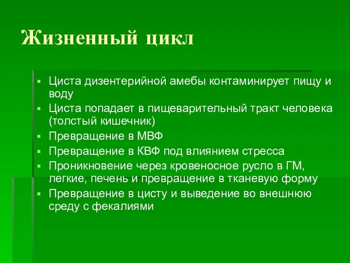 Жизненный цикл Циста дизентерийной амебы контаминирует пищу и воду Циста попадает