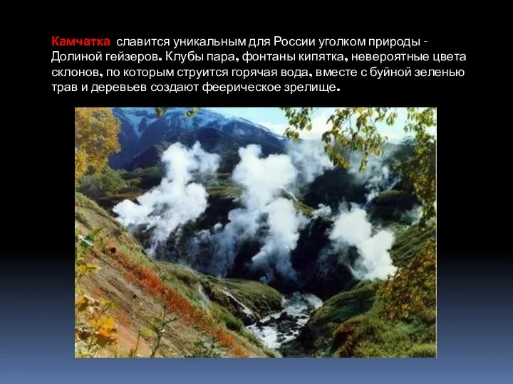 Камчатка славится уникальным для России уголком природы - Долиной гейзеров. Клубы