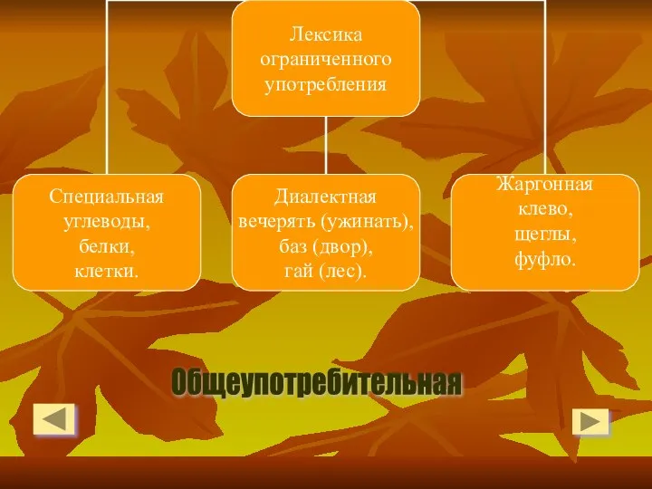 Общеупотребительная