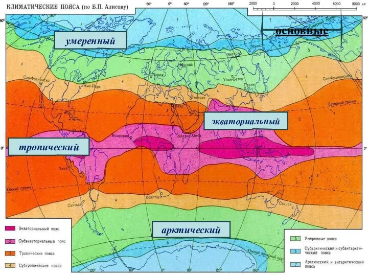 экваториальный умеренный тропический арктический основные