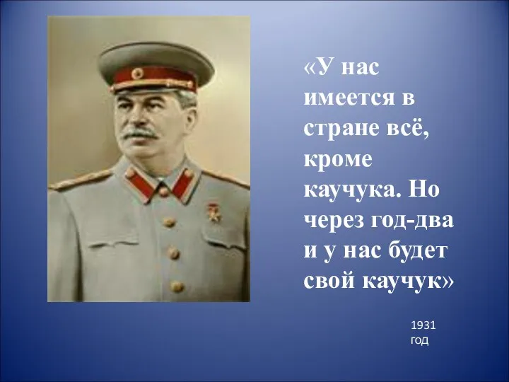 «У нас имеется в стране всё, кроме каучука. Но через год-два