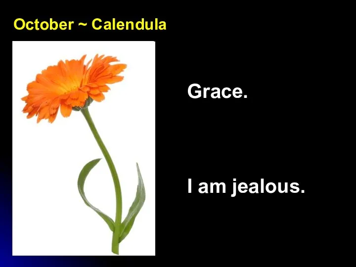October ~ Calendula Grace. I am jealous.