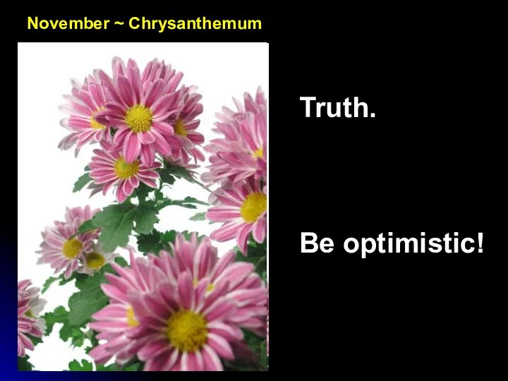 November ~ Chrysanthemum Truth. Be optimistic!