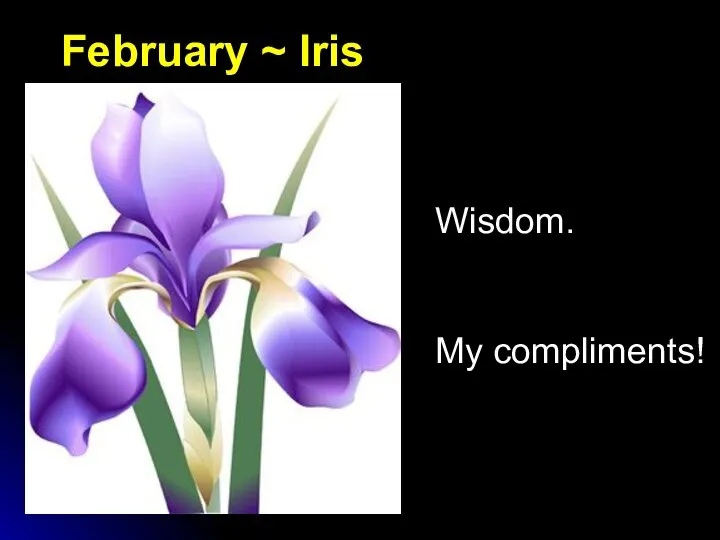 February ~ Iris Wisdom. My compliments!
