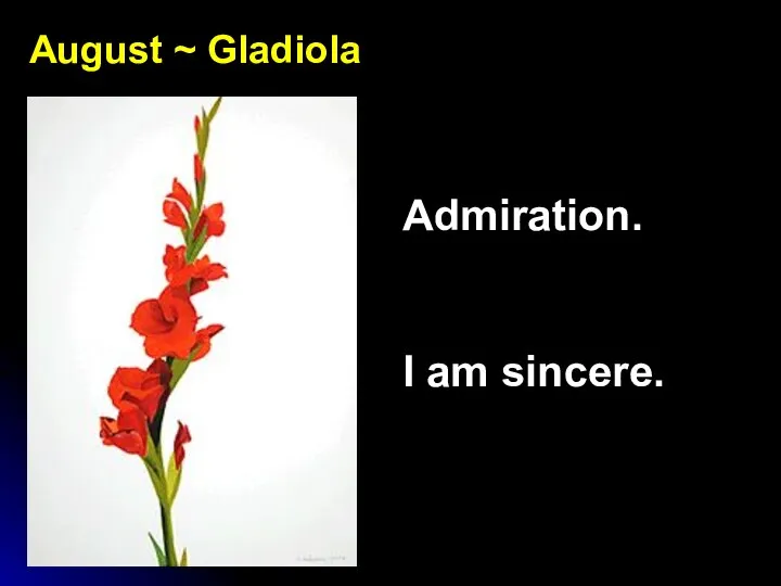 August ~ Gladiola Admiration. I am sincere.