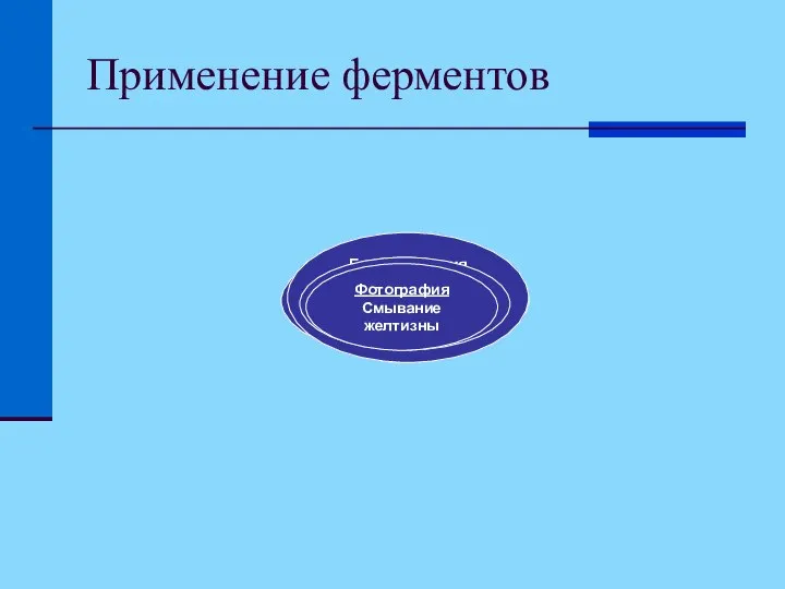 Применение ферментов Ферменты Пищевая Производство «готовых» каш Фармацевтическая Добавки у зубным