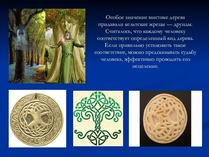 Особое значение мистике дерева придавали кельтские жрецы — друиды. Считалось, что