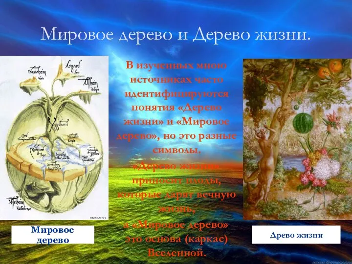 Мировое дерево и Дерево жизни. В изученных мною источниках часто идентифицируются