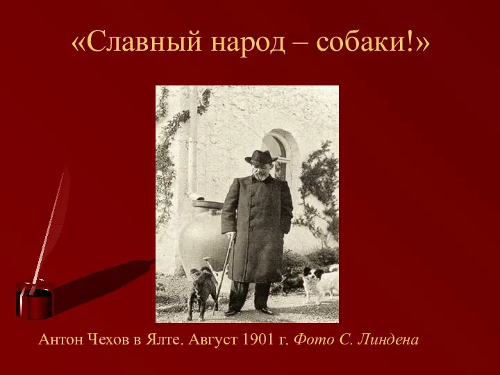 «Славный народ – собаки!» Антон Чехов в Ялте. Август 1901 г. Фото С. Линдена