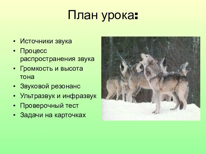 План урока: Источники звука Процесс распространения звука Громкость и высота тона