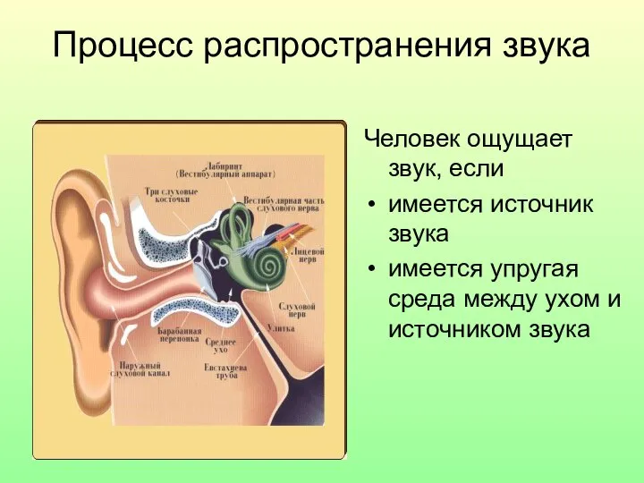 Процесс распространения звука Человек ощущает звук, если имеется источник звука имеется