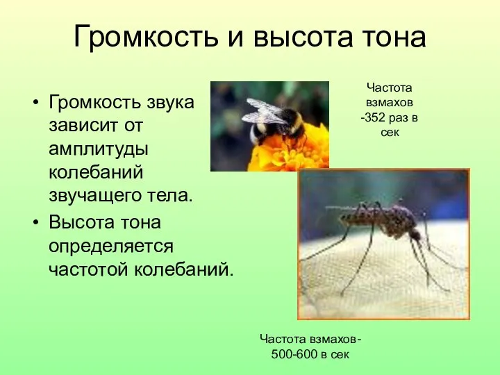 Громкость и высота тона Громкость звука зависит от амплитуды колебаний звучащего