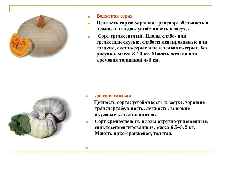 Волжская серая Ценность сорта: хорошая транспортабельность и лежкость плодов, устойчивость к