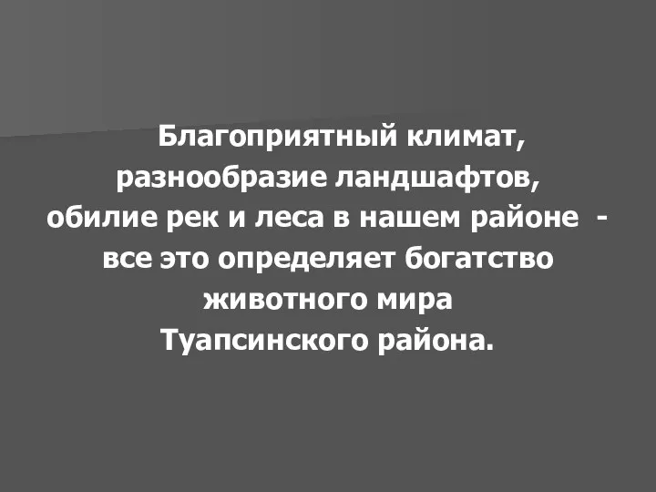 Благоприятный климат, разнообразие ландшафтов, обилие рек и леса в нашем районе