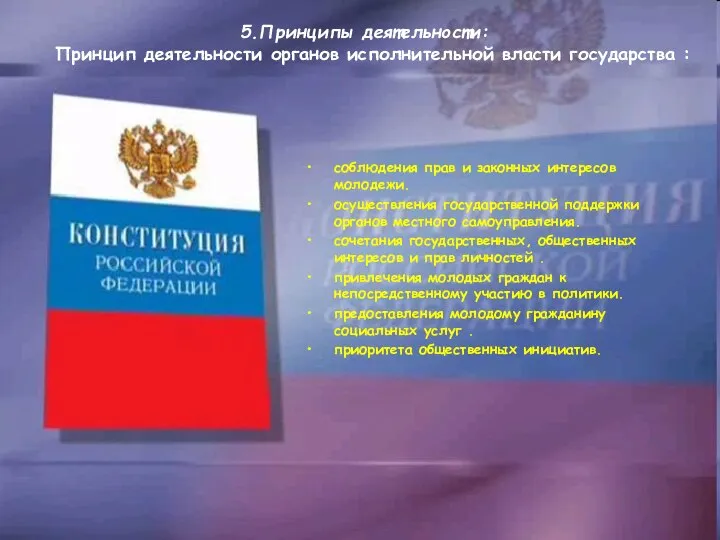 5.Принципы деятельности: Принцип деятельности органов исполнительной власти государства : соблюдения прав