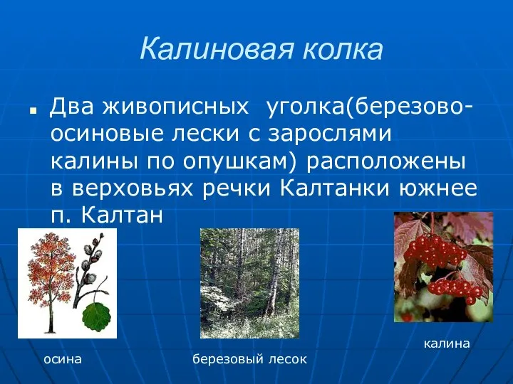 Калиновая колка Два живописных уголка(березово-осиновые лески с зарослями калины по опушкам)