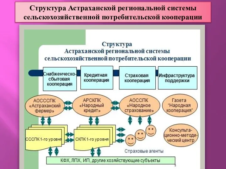 Структура Астраханской региональной системы сельскохозяйственной потребительской кооперации