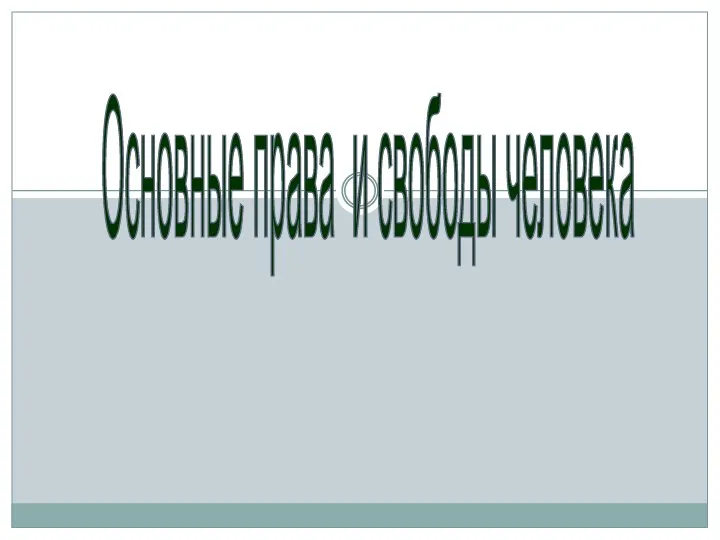 Основные права и свободы человека