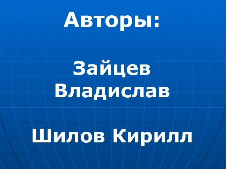 Авторы: Зайцев Владислав Шилов Кирилл