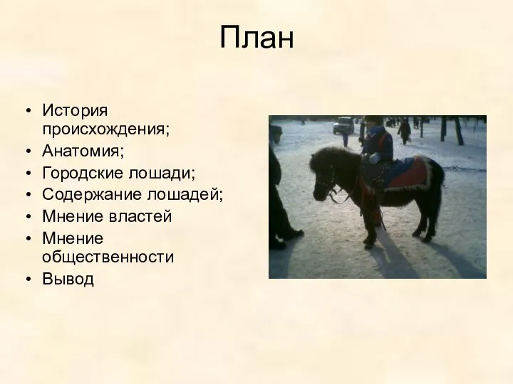 План История происхождения; Анатомия; Городские лошади; Содержание лошадей; Мнение властей Мнение общественности Вывод