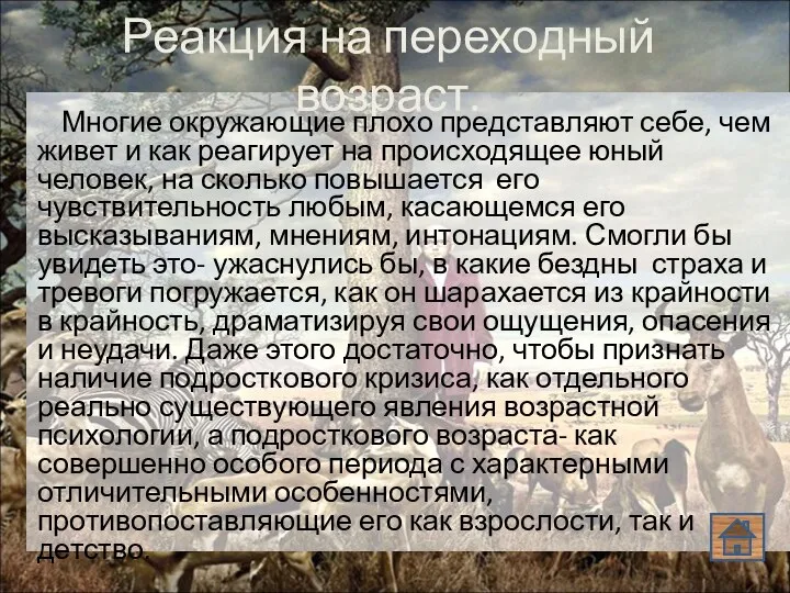 Реакция на переходный возраст. Многие окружающие плохо представляют себе, чем живет