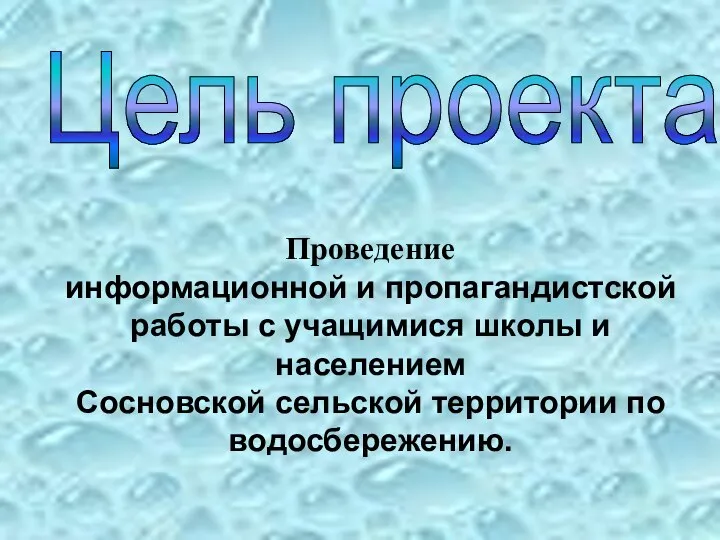 Цель проекта Проведение информационной и пропагандистской работы с учащимися школы и