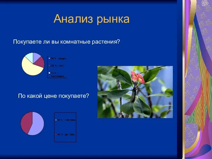 Анализ рынка Покупаете ли вы комнатные растения? По какой цене покупаете?