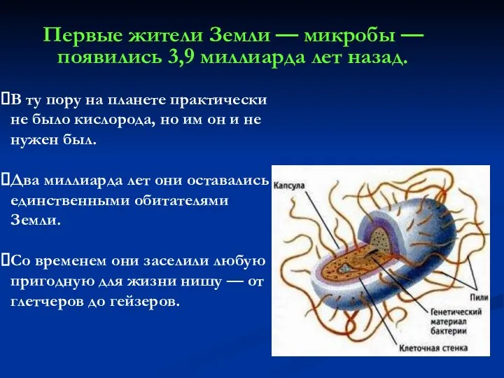 Первые жители Земли — микробы — появились 3,9 миллиарда лет назад.