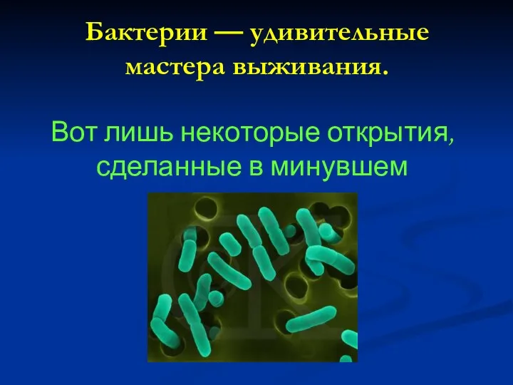 Бактерии — удивительные мастера выживания. Вот лишь некоторые открытия, сделанные в минувшем десятилетии