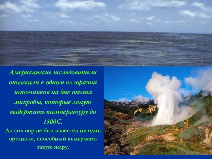 Американские исследователи отыскали в одном из горячих источников на дне океана