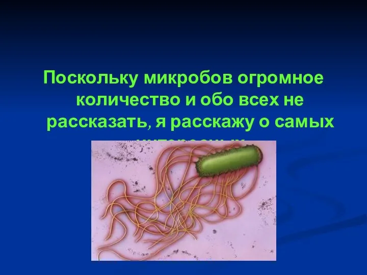 Поскольку микробов огромное количество и обо всех не рассказать, я расскажу о самых интересных