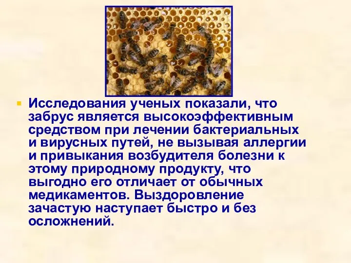 Исследования ученых показали, что забрус является высокоэффективным средством при лечении бактериальных