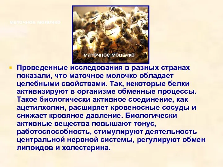 Проведенные исследования в разных странах показали, что маточное молочко обладает целебными