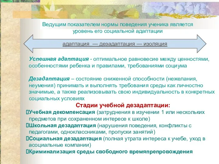 Успешная адаптация - оптимальное равновесие между ценностями, особенностями ребенка и правилами,